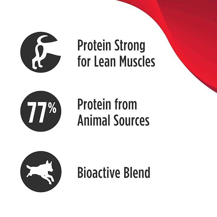 Salmon Dry Dog Food R34621