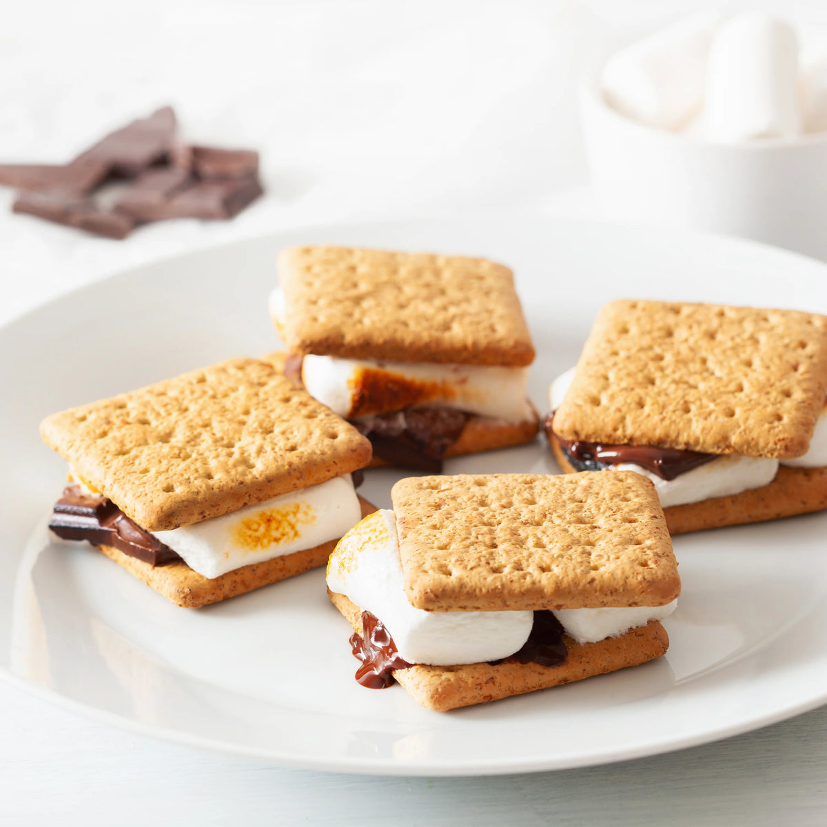 Electric Stainless Steel S'mores Maker with 4 Compartment Trays and 4 Roasting Forks E576