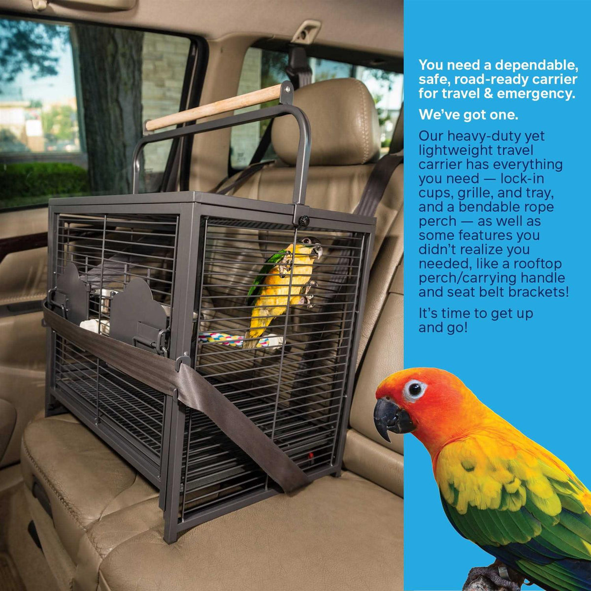 Pet Travel Carrier E191085