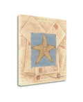 Starfish Postcard Giclee Print D8588