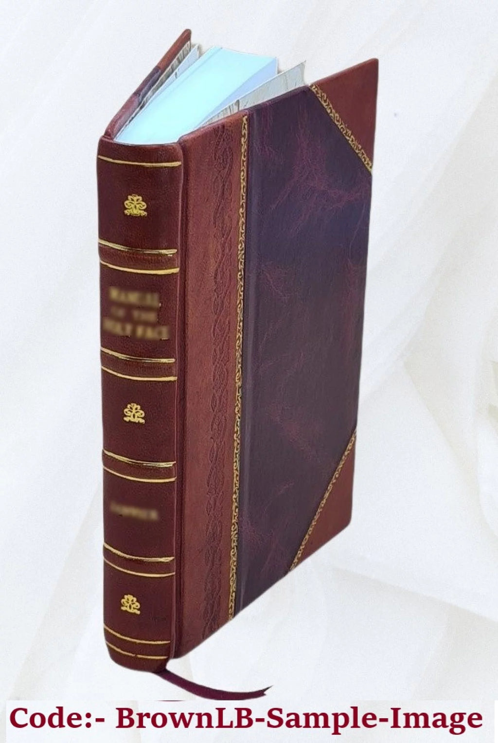 Leather Bound X9319