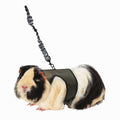 Harness Leash K809340