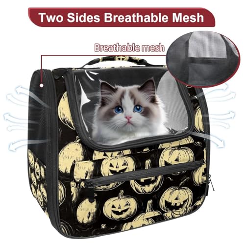 Ventilated Pet Travel Carrier L24205