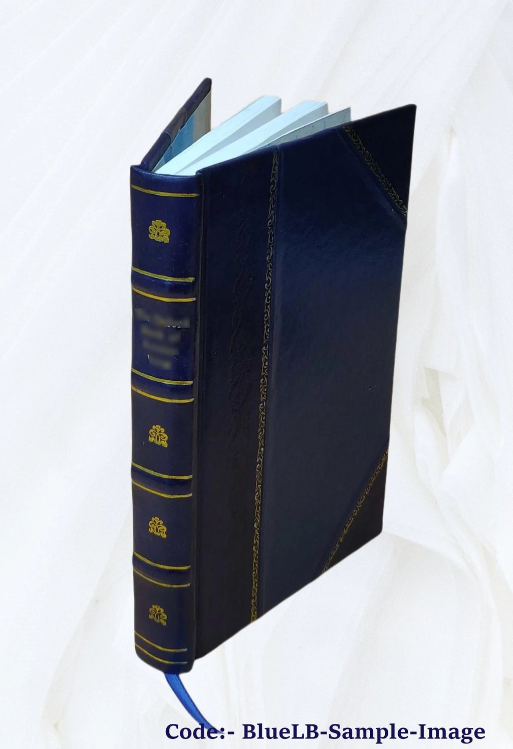 Leather Bound Book B560763
