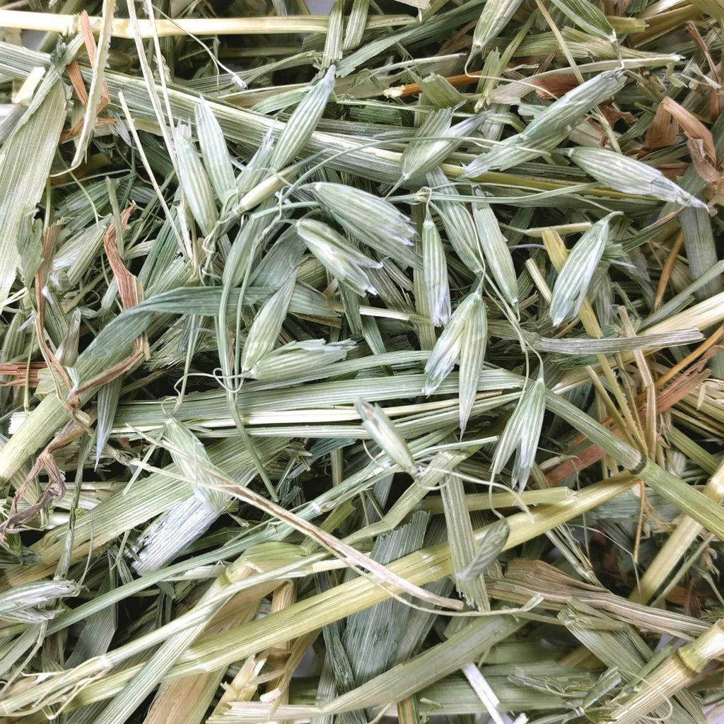 Oat Hay Pet Supplies I9784