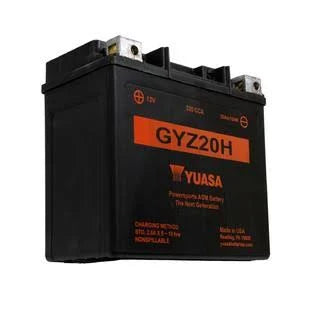 Factory Activated Maintenance Free Battery P597