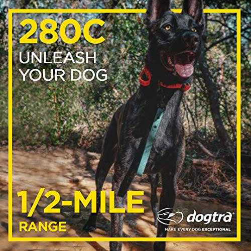 Dog Remote Training Collar Q902073