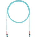 Fiber Optic Network Cable - 69 ft E692876