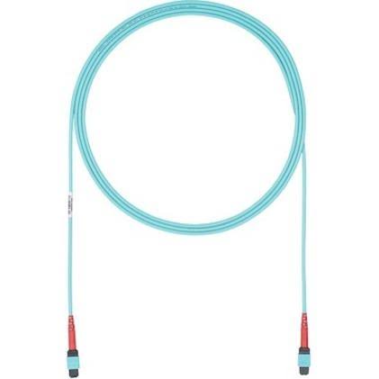 Fiber Optic Network Cable - 69 ft E692876