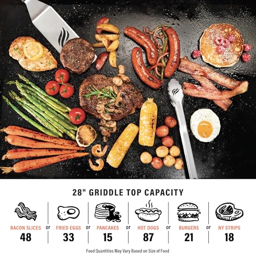 28 inch Black Stainless Steel Gas Griddle with Hood F401