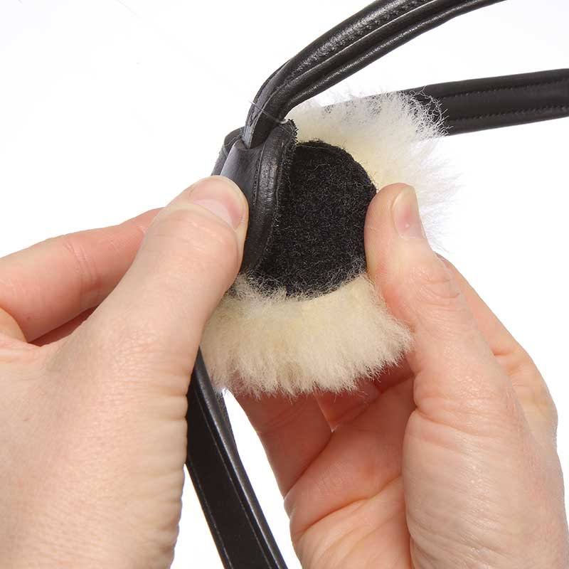 Bridle N2845