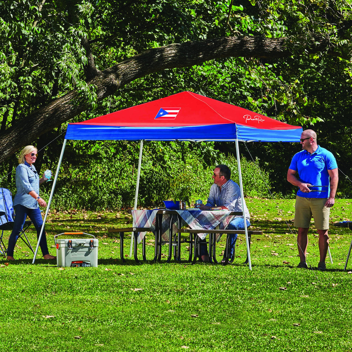 10' x 10' Slant Leg Canopy L176382