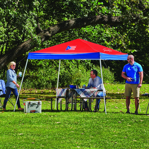 10' x 10' Slant Leg Canopy L176382