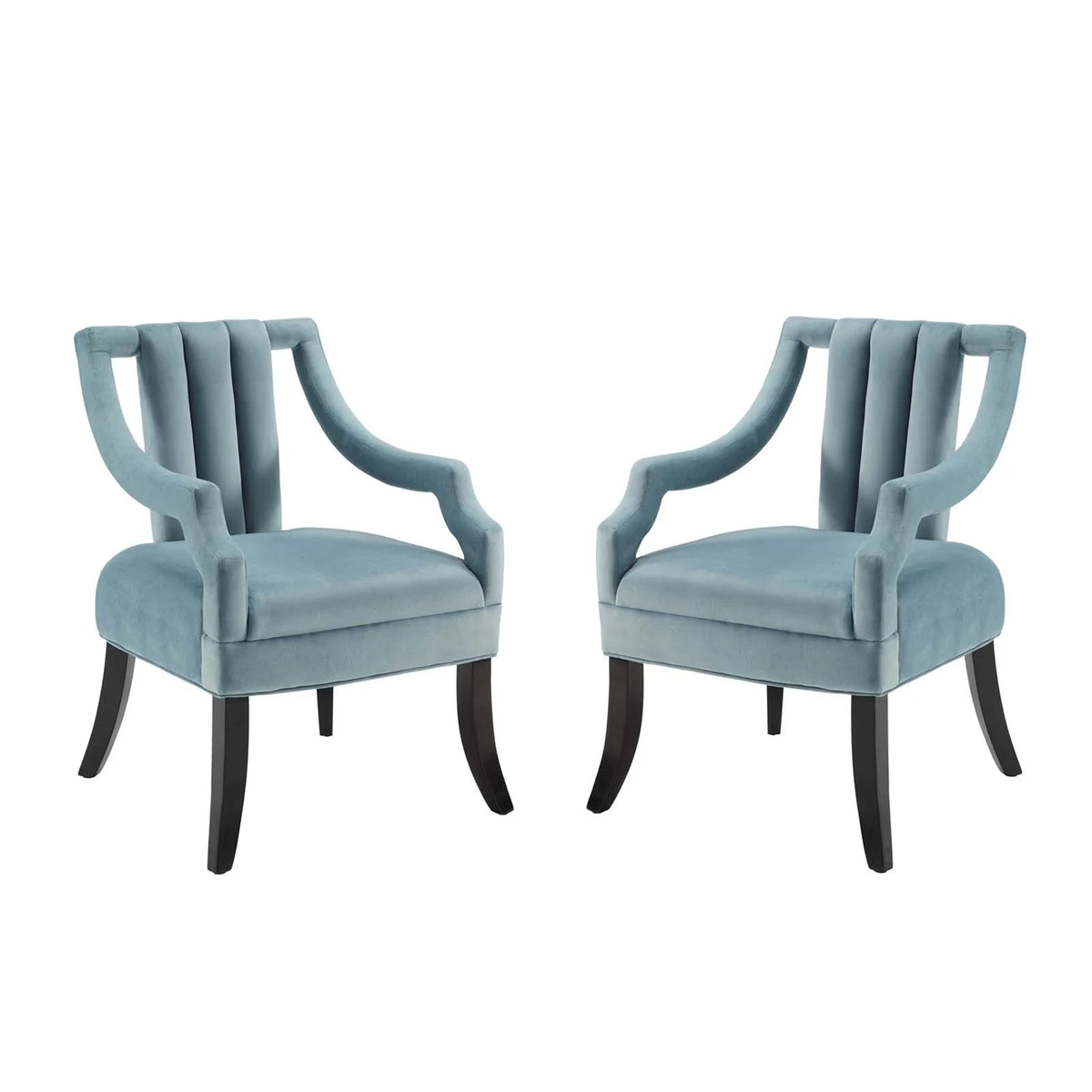 Light Blue Performance Velvet Accent Chair Set of 2 W111
