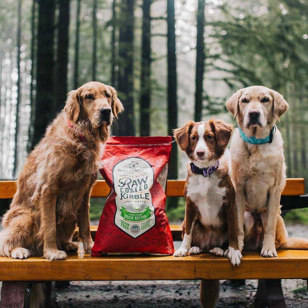 Duck Raw Coated Kibble Dog Food U15166