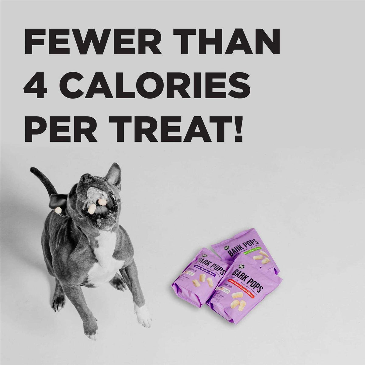 Dog Treats L245