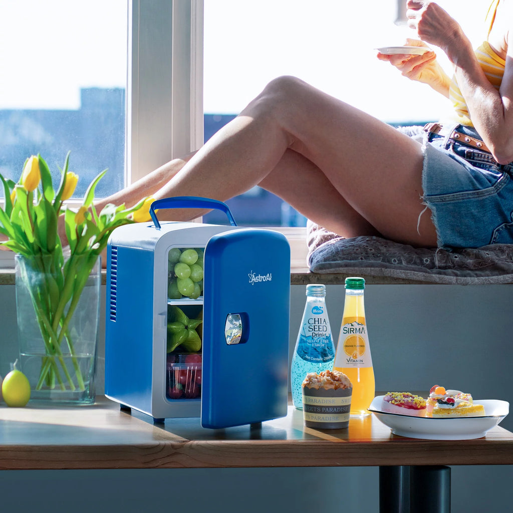 4L 6 Can Portable Electric Cooler Mini Fridge V231107