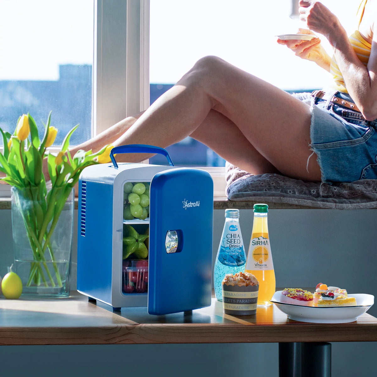 4L 6 Can Portable Electric Cooler Mini Fridge V231107