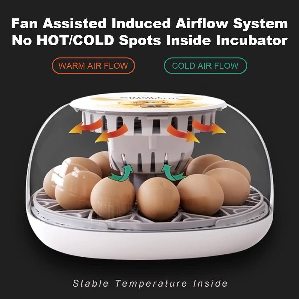 12-24 Egg Incubator with Automatic Egg Turner I75655