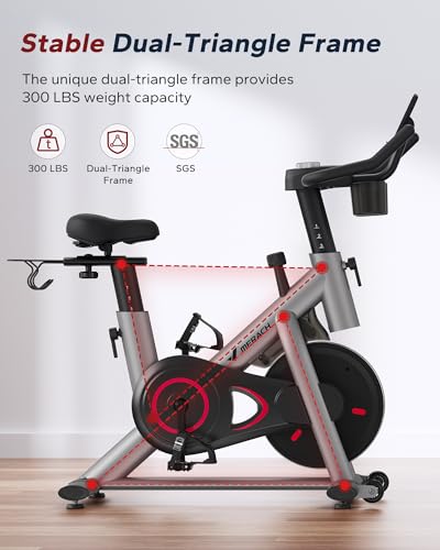 Exercise Bike with 300lbs Weight Capacity E8130
