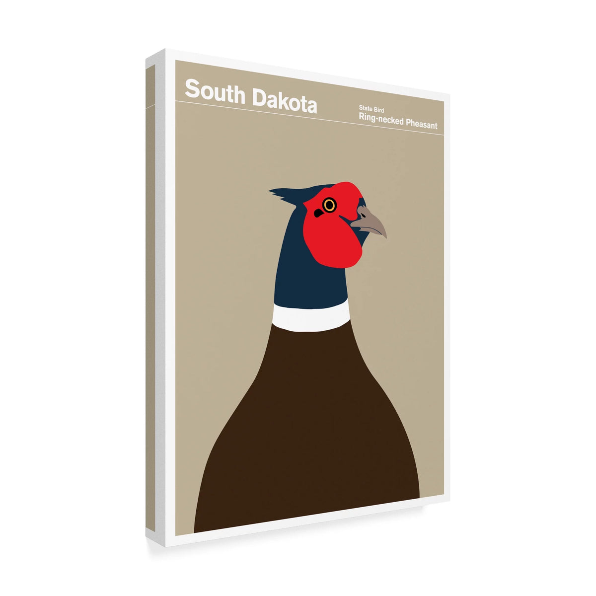 South Dakota Pheasant Canvas Art S794621
