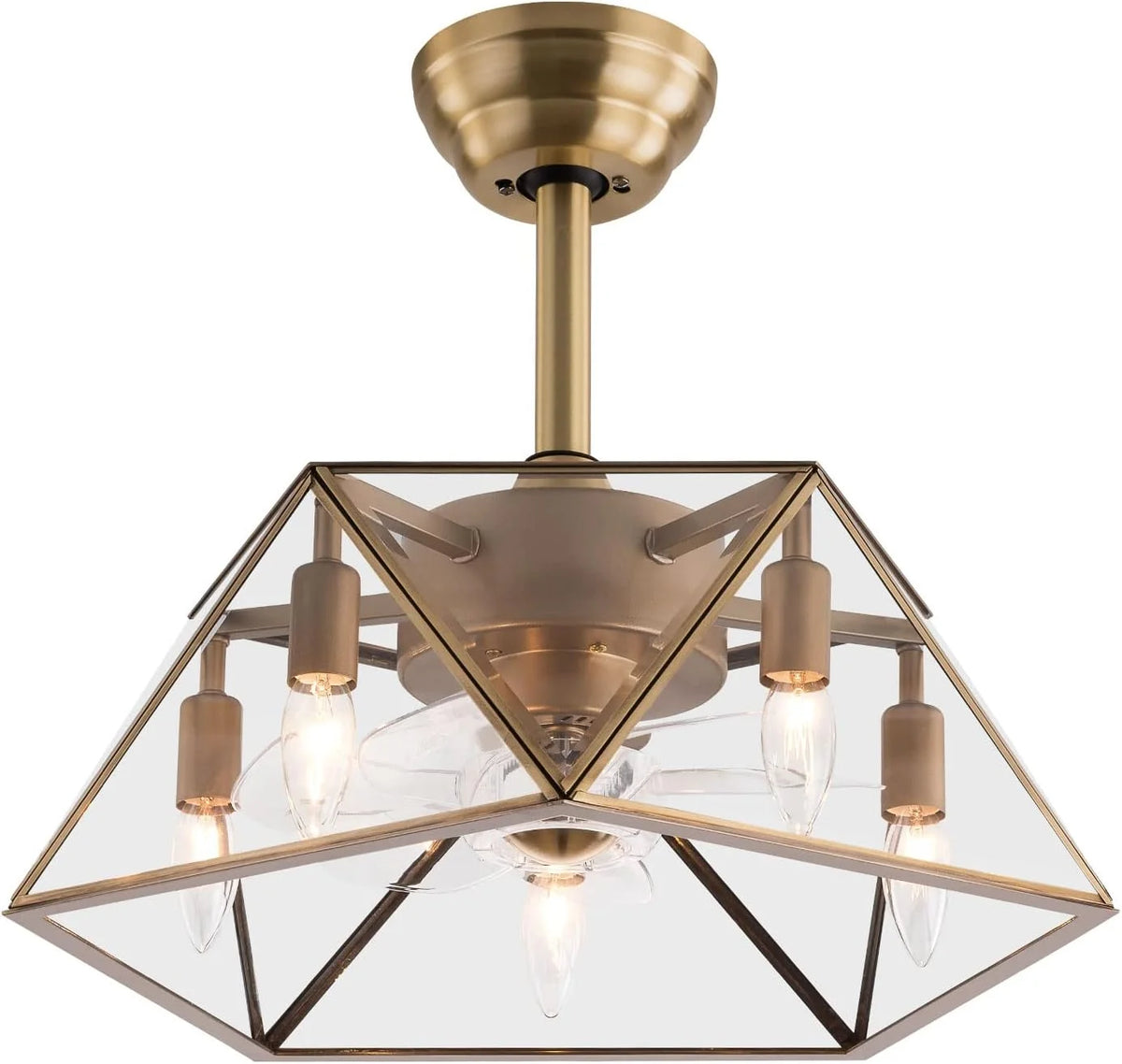 18.5'' Caged Ceiling Fan with Lights Remote Control E155600