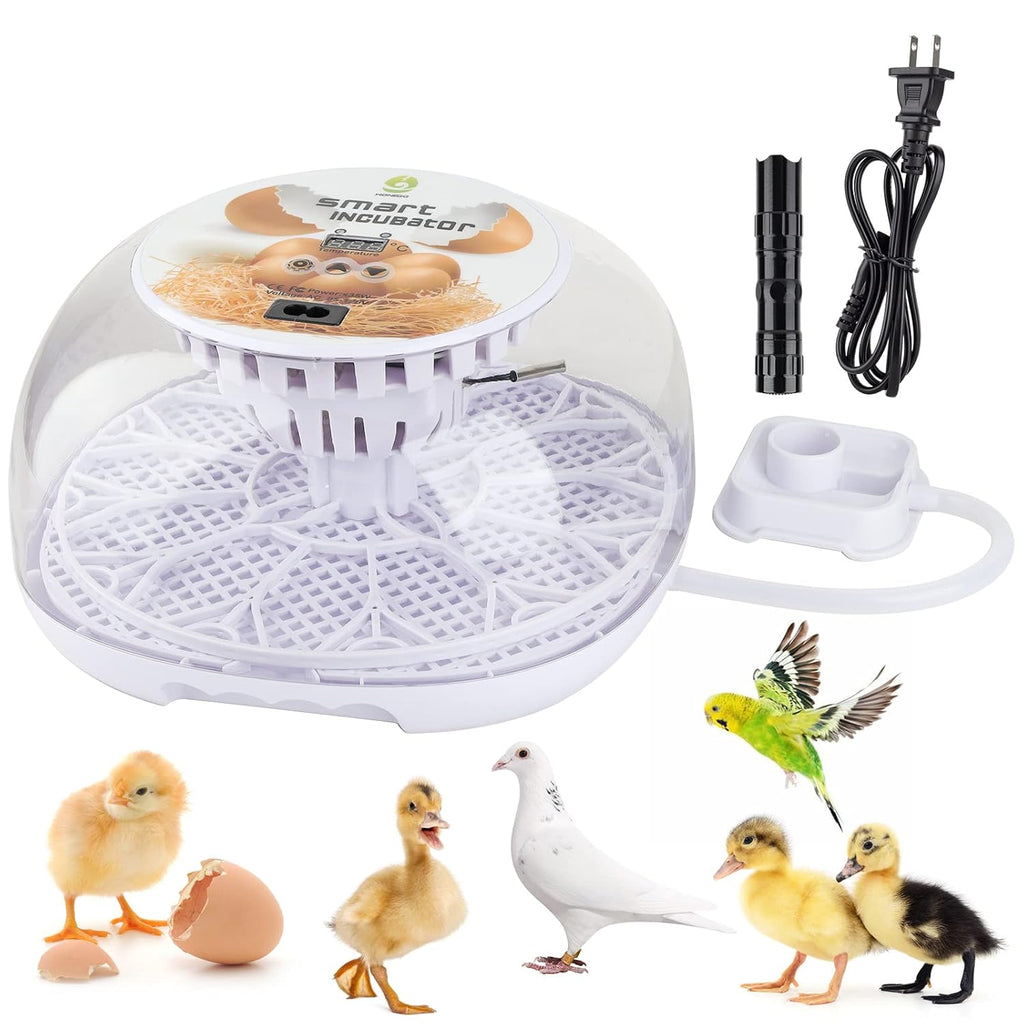 12-24 Egg Incubator with Automatic Egg Turner I75655