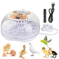 12-24 Egg Incubator with Automatic Egg Turner I75655