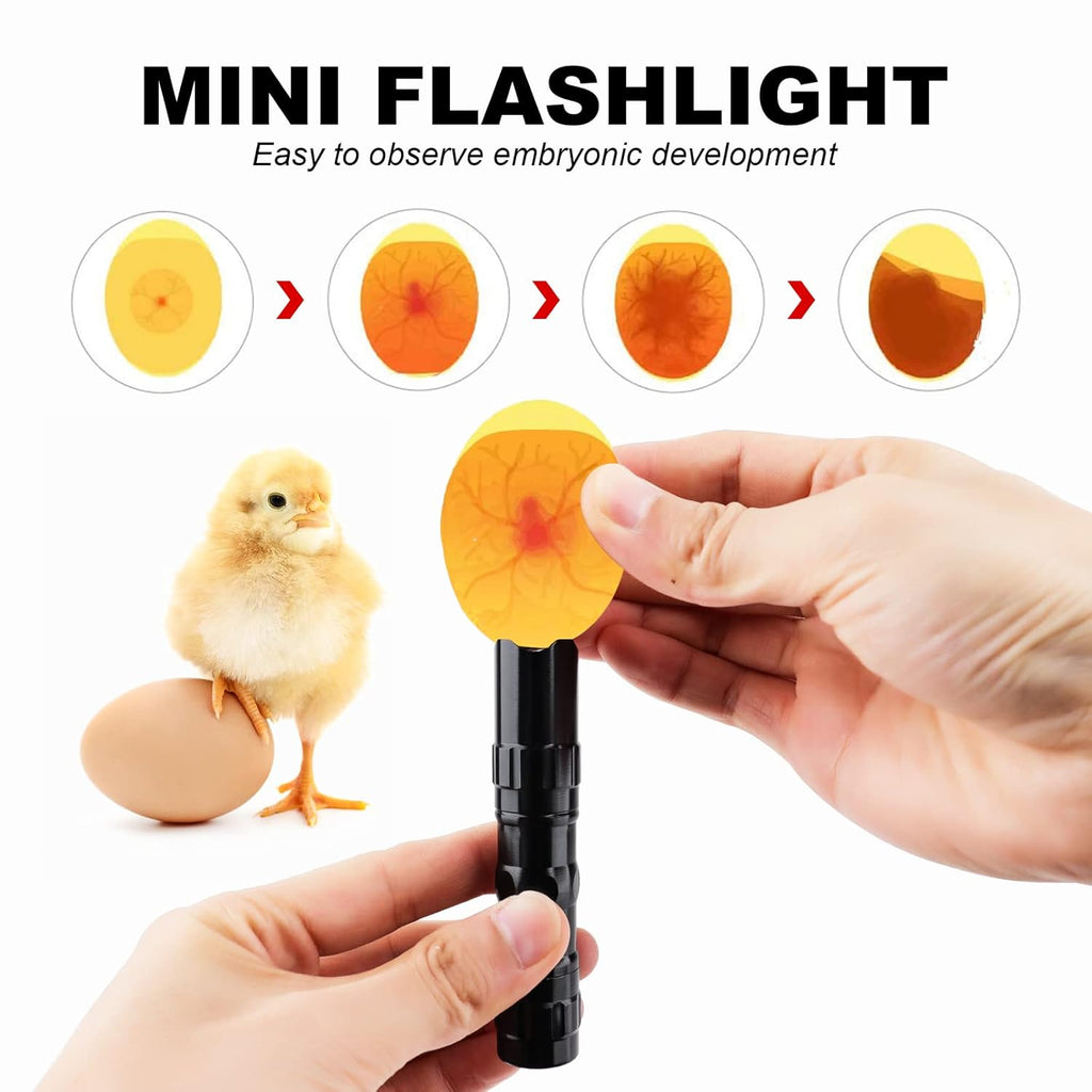 12-24 Egg Incubator with Automatic Egg Turner I75655