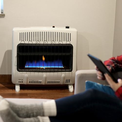 30,000 BTU Blue Flame Propane Heater U580