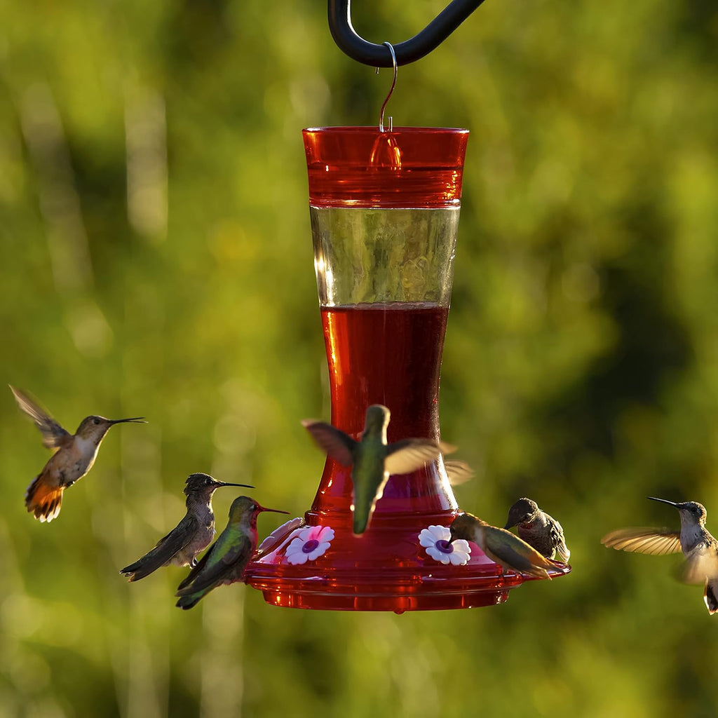Glass Hummingbird Feeder, 5 Feeding Stations, 20 Ounces H513