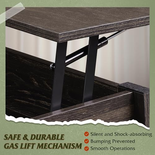 Rustic Brown Lift Top Coffee Table with Storage Shelf B658
