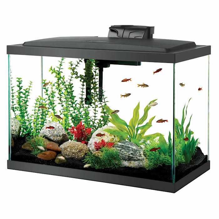 Standard Aquarium I84928