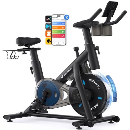 Exercise Bike with 300lbs Weight Capacity E8130