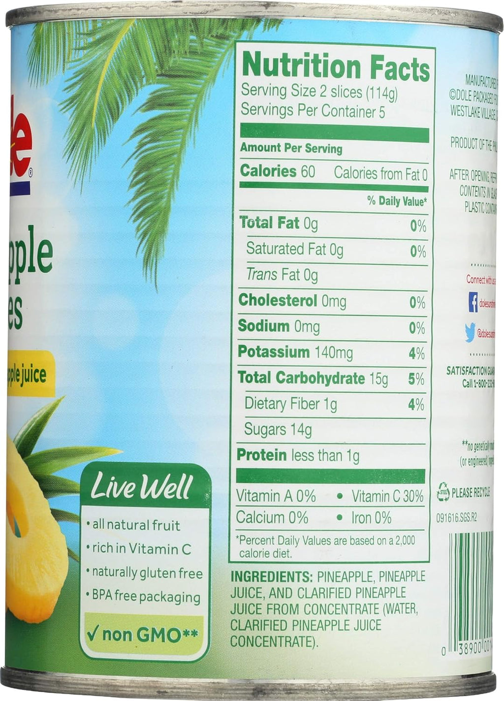 Pineapple Slices in 100% Pineapple Juice 20 oz (Pack of 12) S1705