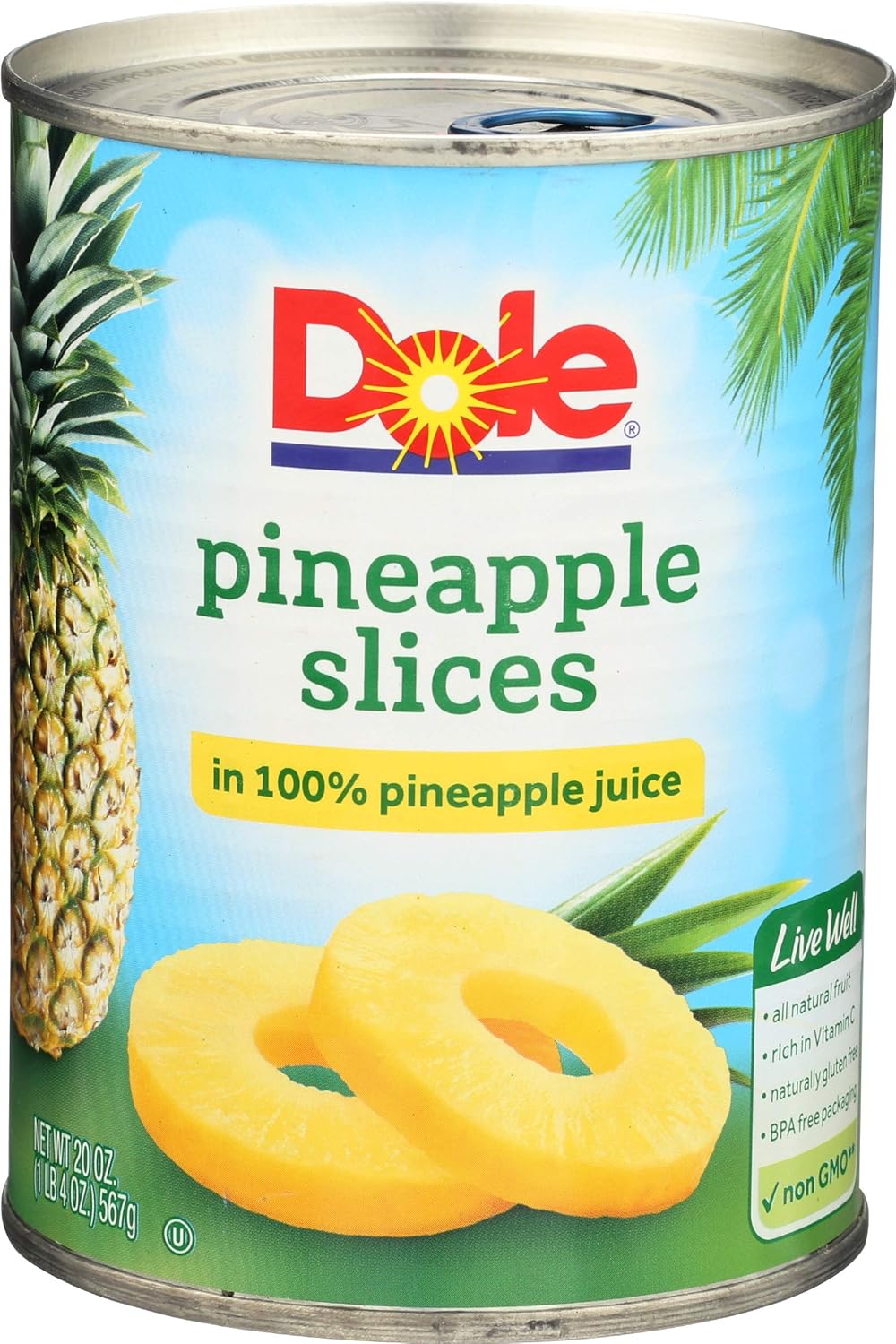 Pineapple Slices in 100% Pineapple Juice 20 oz (Pack of 12) S1705