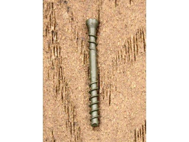 Coated Deck Screw M227431