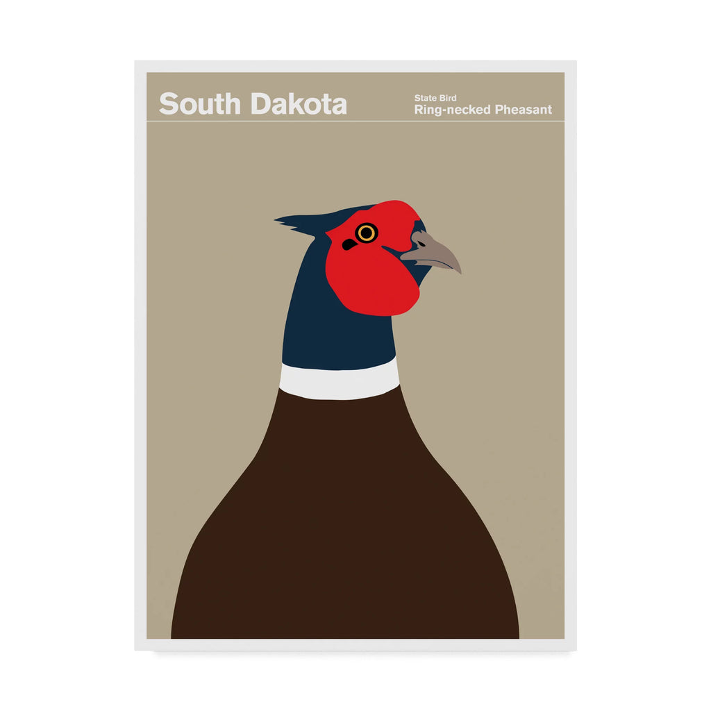 South Dakota Pheasant Canvas Art S794621