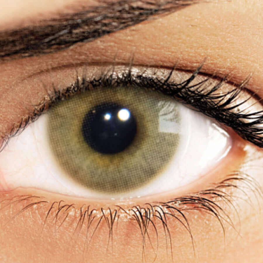 Hazel Yearly Colored Contact Lenses P759