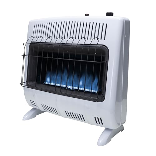 30,000 BTU Blue Flame Propane Heater U580