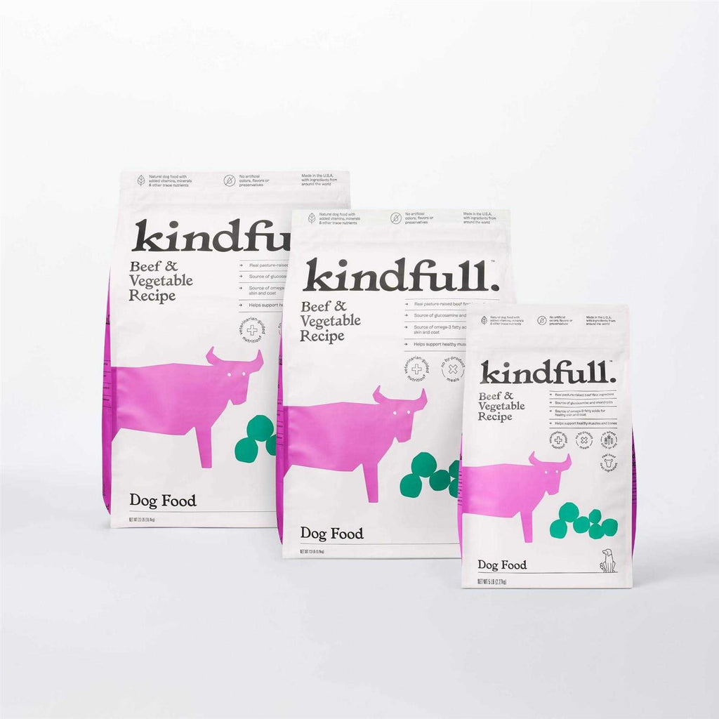 Beef and Vegetable Recipe Dry Dog Food N5429