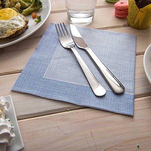 White with Blue Threads Disposable Napkins 16x16 Inches 600 Count R9878