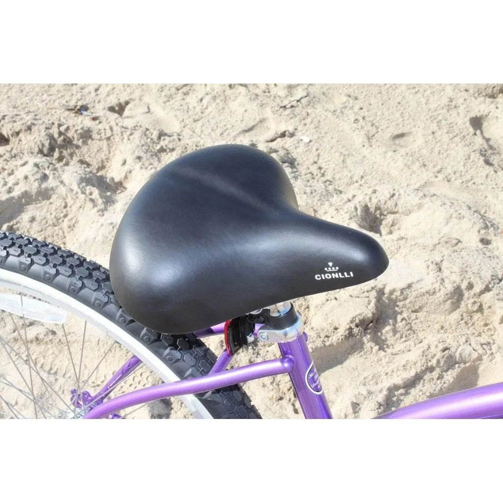 24 In. Single Speed Bicycle H327