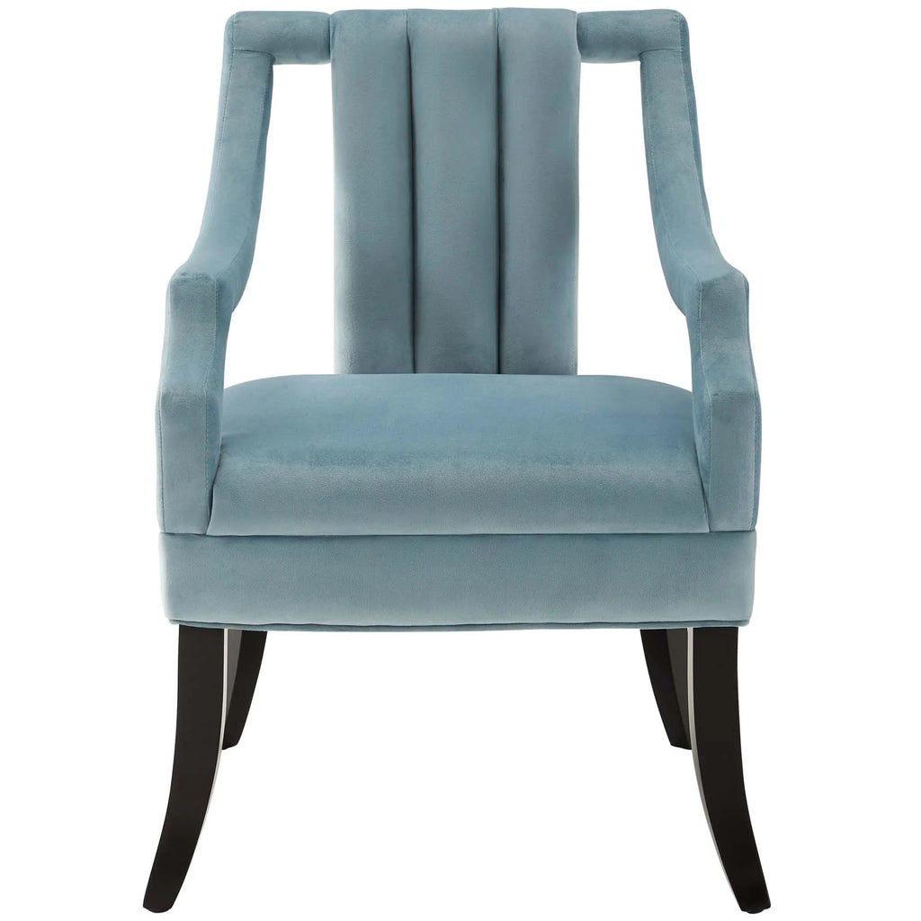 Light Blue Performance Velvet Accent Chair Set of 2 W111