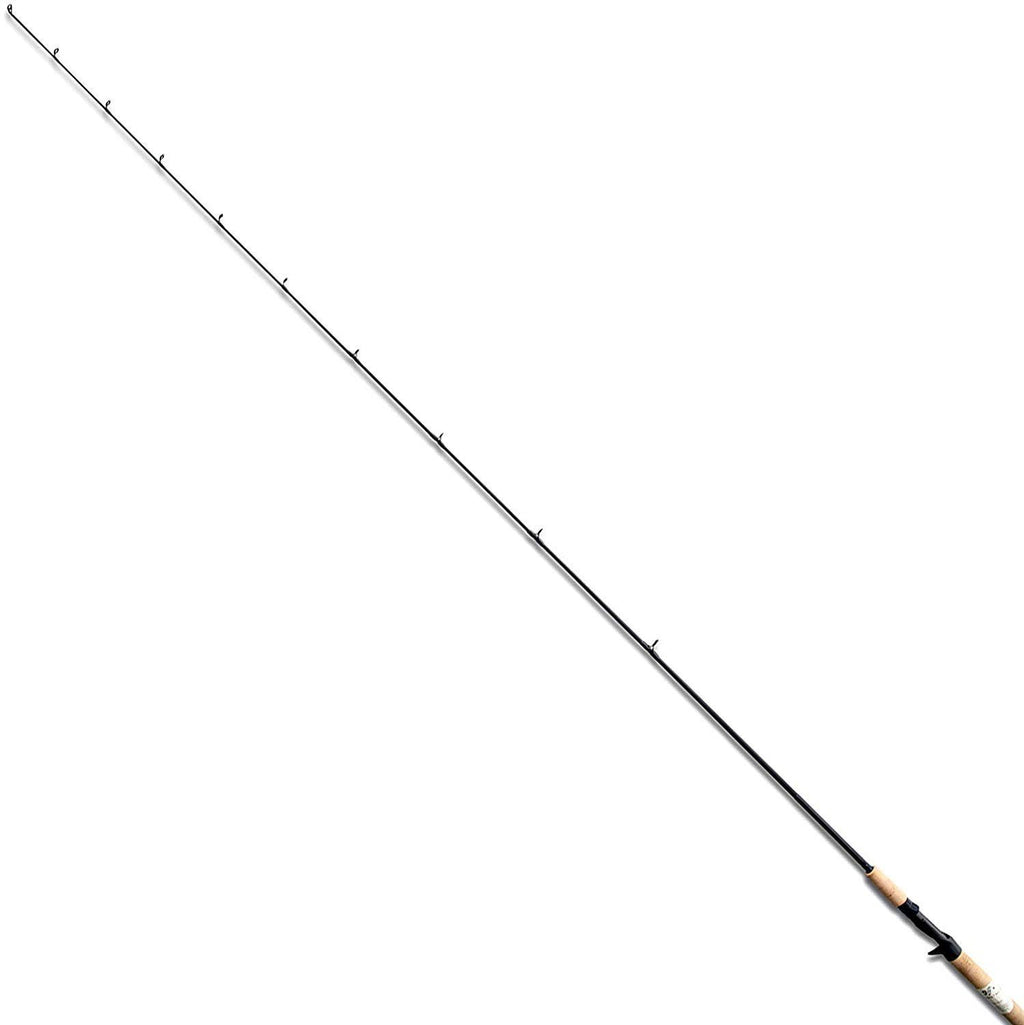 Classic Popping Casting Rod N58986
