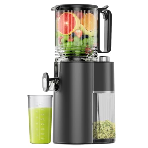 Cold Press Juicer 5.8" Wide Feed Chute 400W Slow Masticating Juicer L529