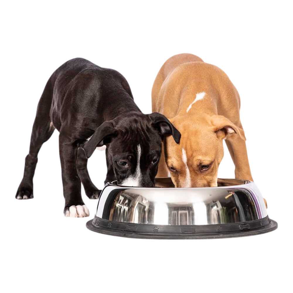 Stainless Steel Dog Bowl N7379