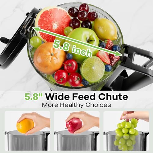 Cold Press Juicer 5.8" Wide Feed Chute 400W Slow Masticating Juicer L529