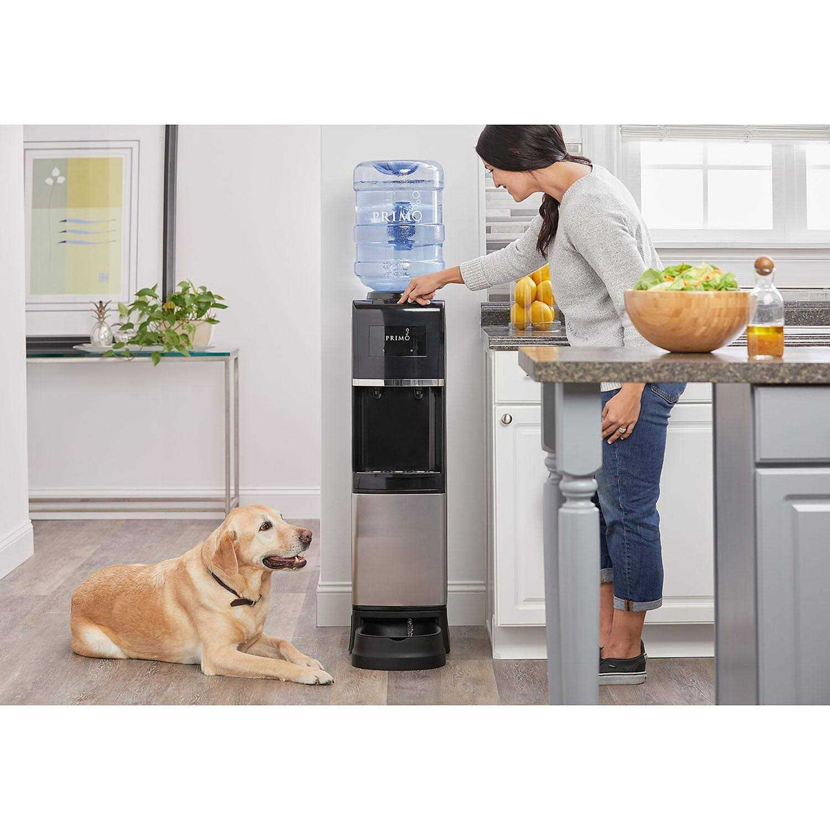 Top Loading Hot/Cold Black and Stainless Steel Pet Water Dispenser X85361