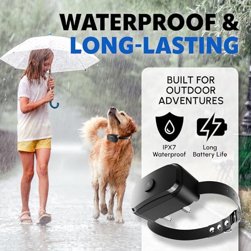 GPS Dog Fence with Remote Training Waterproof Collar System W480121